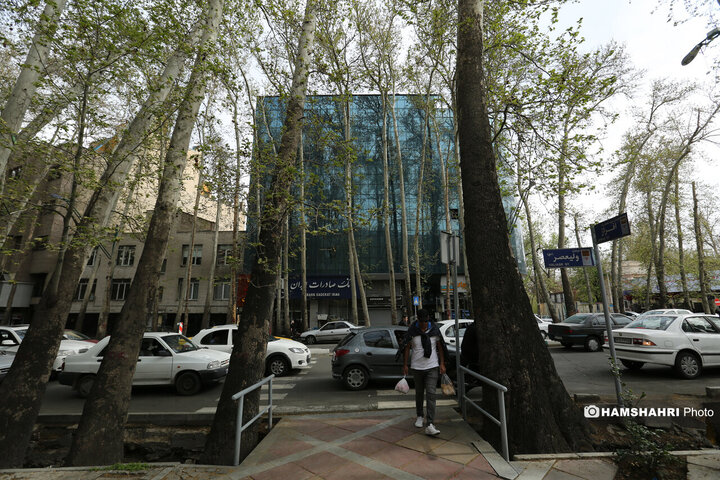 حال و هوای بهاری تهران