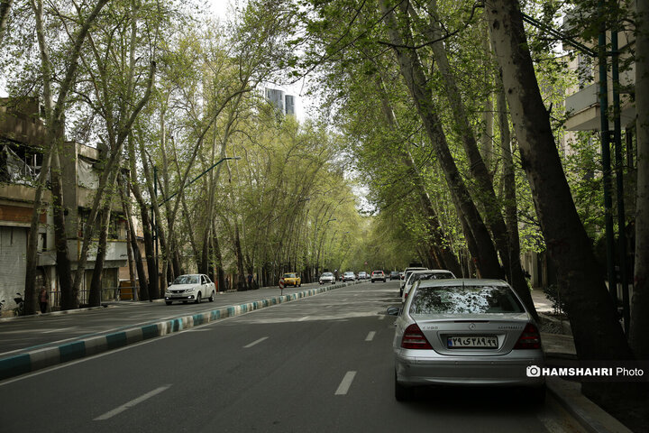 حال و هوای بهاری تهران