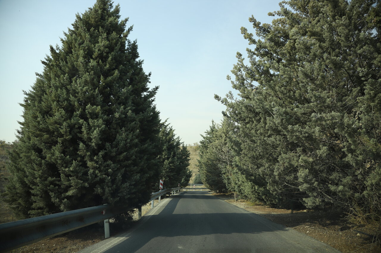 بوستان یاس فاطمی