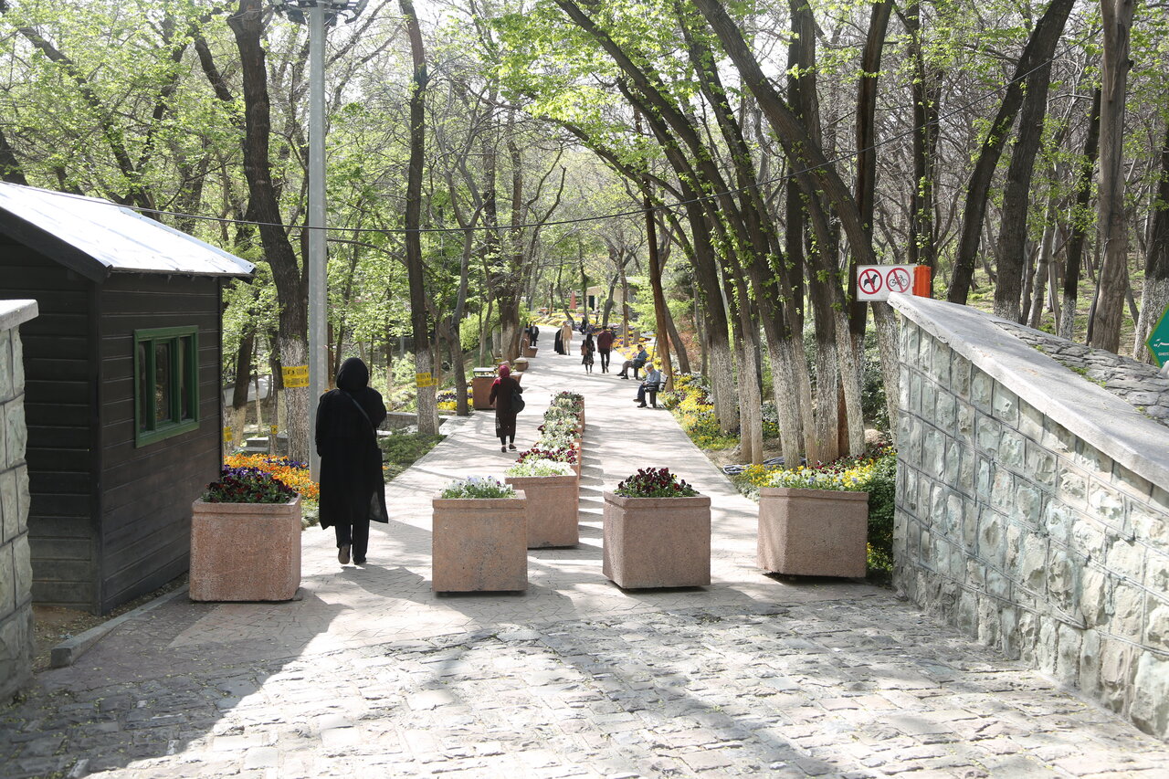 گشت و گذار بهاری | بهترین مسیرهای پیاده روی بهاری تهران کجاست؟