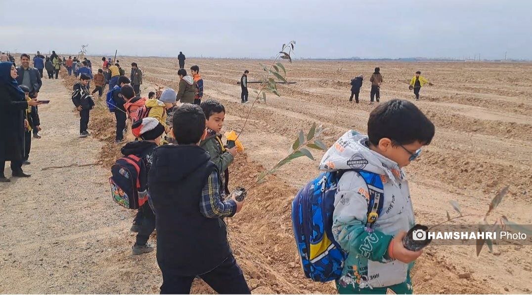 جنگل چطور در کویر کاشان سبز می شود؟ + تصاویر