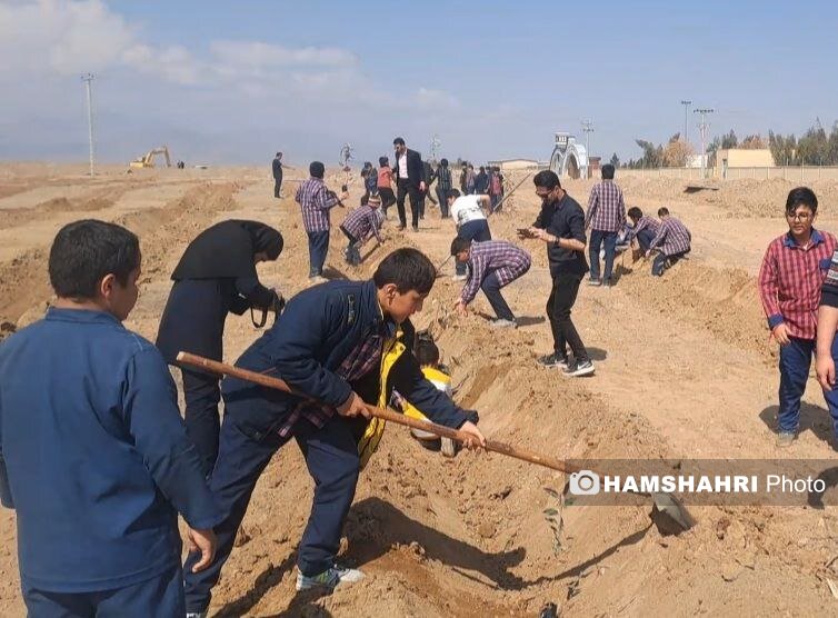 جنگل چطور در کویر کاشان سبز می شود؟ + تصاویر