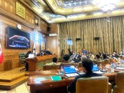 بهره مندی از مشارکت مردمی در برنامه های نوروز | تعریف ۳۰  مسیر گردشگری برای پایتخت