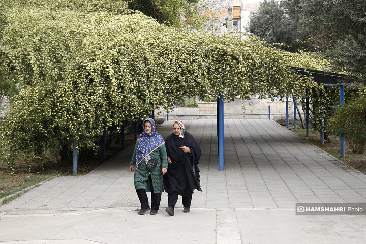 ورزش شهروندان در بوستان قائم