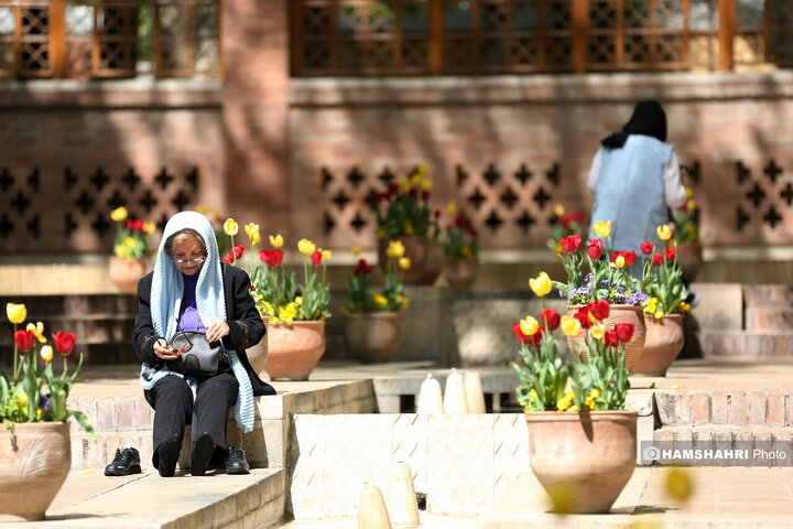 باغ گل لاله در پارک ایرانی