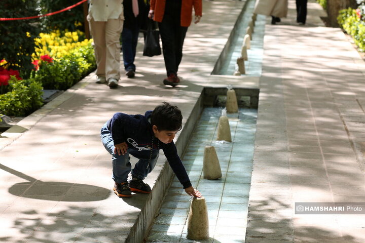 باغ گل لاله در پارک ایرانی