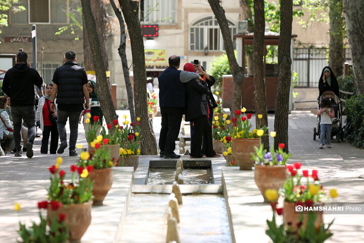 باغ گل لاله در پارک ایرانی