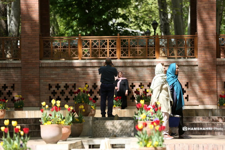 باغ گل لاله در پارک ایرانی