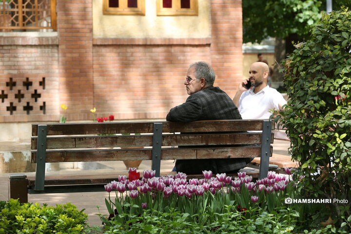 باغ گل لاله در پارک ایرانی