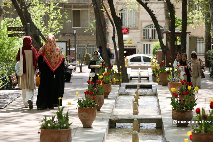 باغ گل لاله در پارک ایرانی
