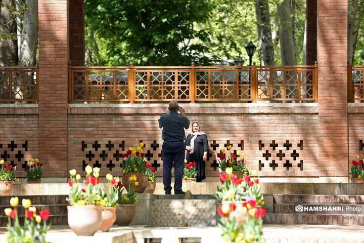 باغ گل لاله در پارک ایرانی