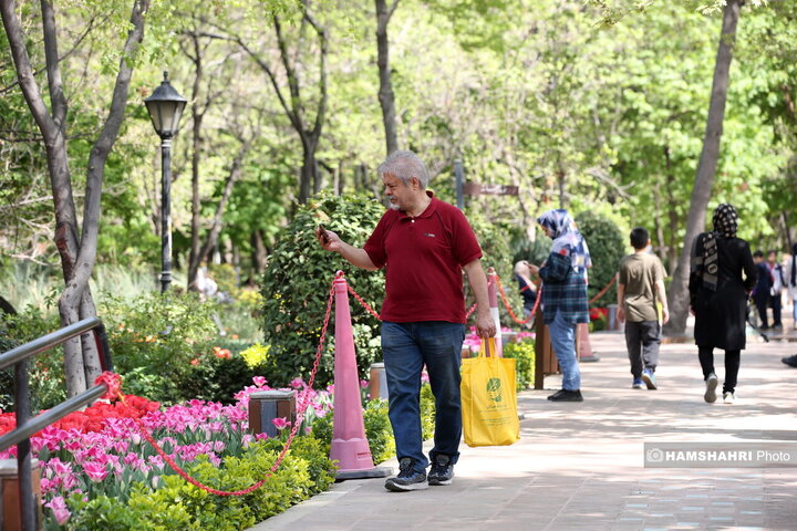 باغ گل لاله در پارک ایرانی