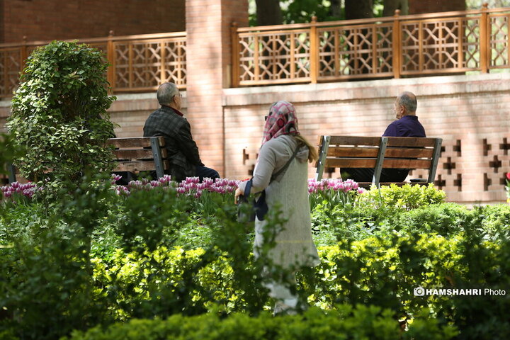 باغ گل لاله در پارک ایرانی