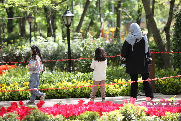 باغ گل لاله در پارک ایرانی