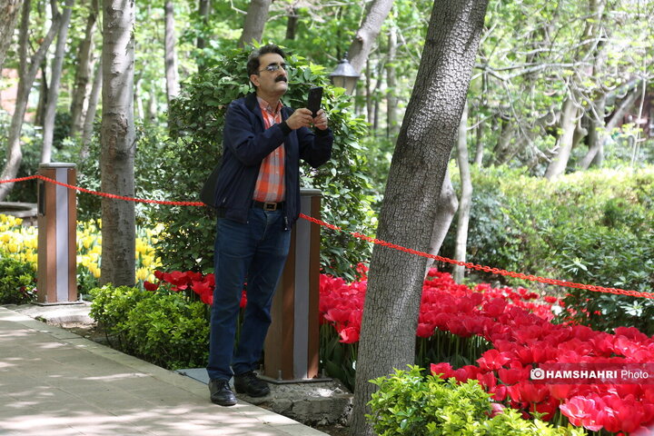 باغ گل لاله در پارک ایرانی