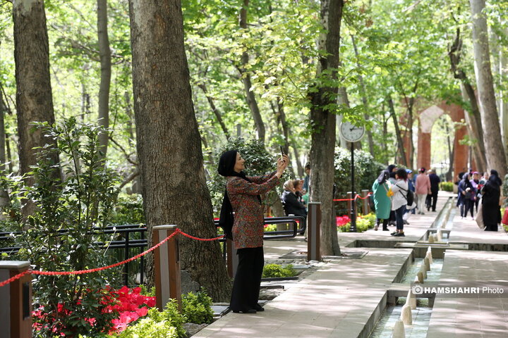 باغ گل لاله در پارک ایرانی