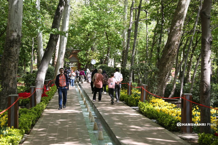 باغ گل لاله در پارک ایرانی