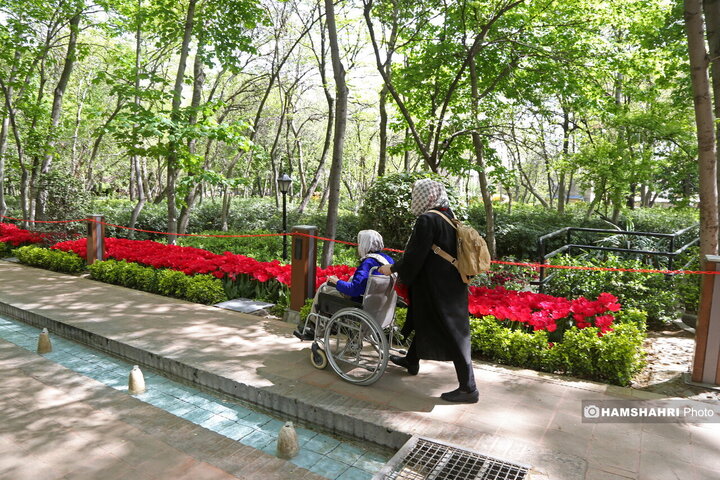 باغ گل لاله در پارک ایرانی