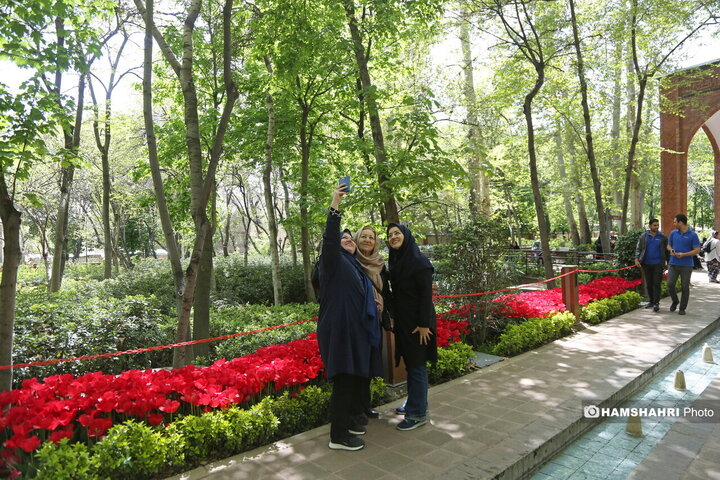 باغ گل لاله در پارک ایرانی