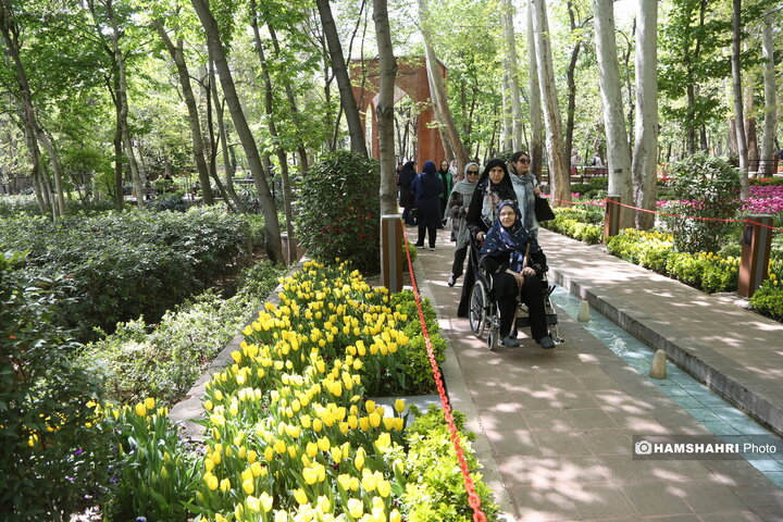 باغ گل لاله در پارک ایرانی