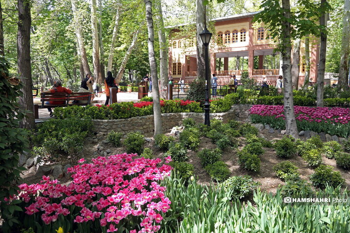 باغ گل لاله در پارک ایرانی