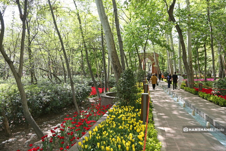 باغ گل لاله در پارک ایرانی