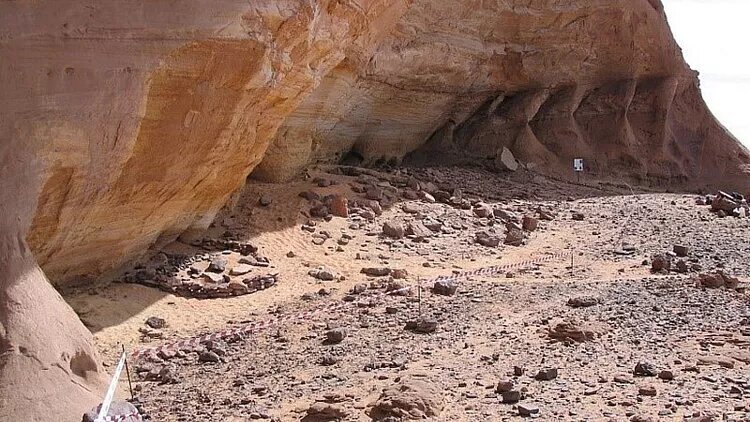 گونهای گمشده از انسانهای باستانی پیدا شد | مومیاییهای ۷ هزار ساله در «صحرای سبز»