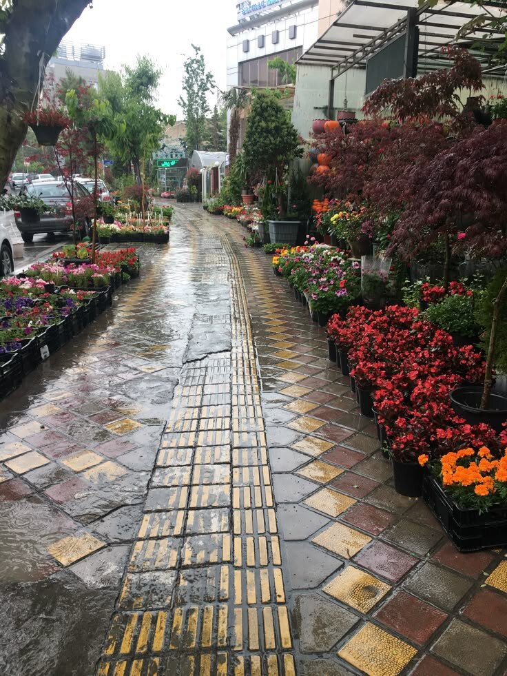 قاب‌های ماندگار اهالی تهران از بهار ۱۴۰۴