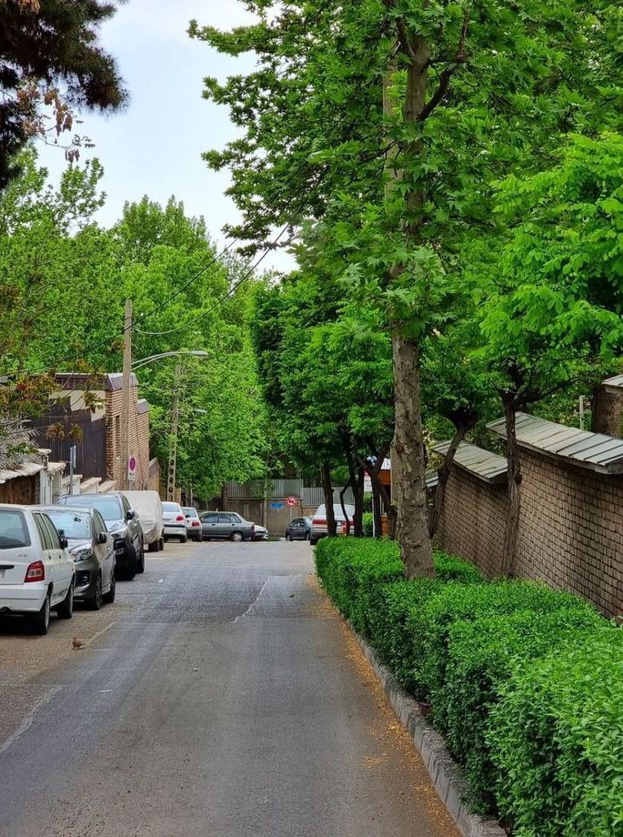 قابهای ماندگار اهالی تهران از بهار ۱۴۰۴