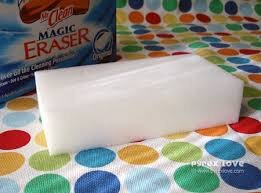 زبالههای پلاستیکی دیگر راه فراری ندارند | میکروپاککنهایی از جنس جلبک و جادو