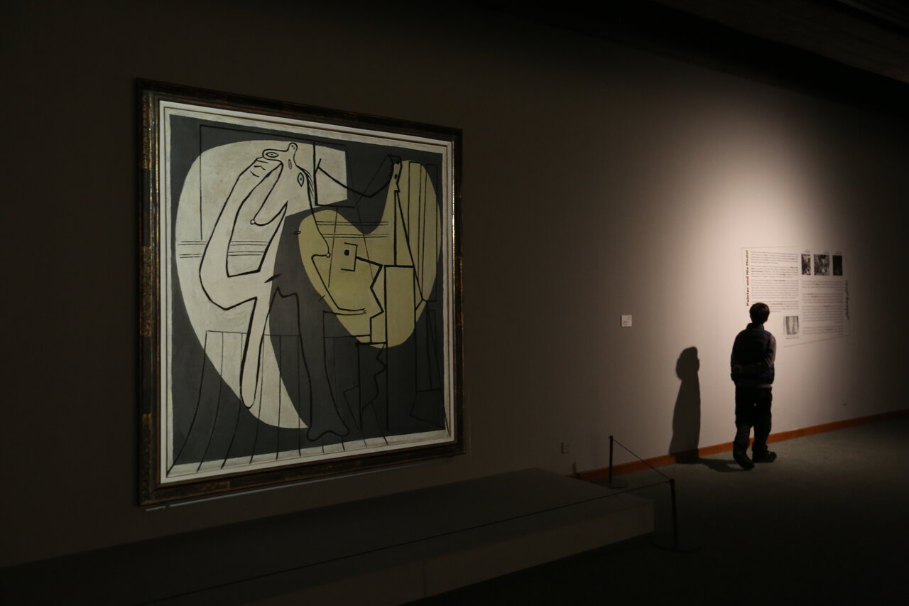 گاوبازی پیکاسو در امیرآباد