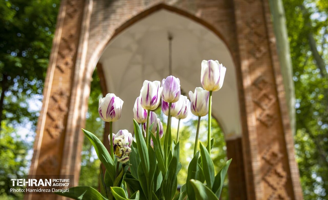 هلند کوچک تهران کجاست؟