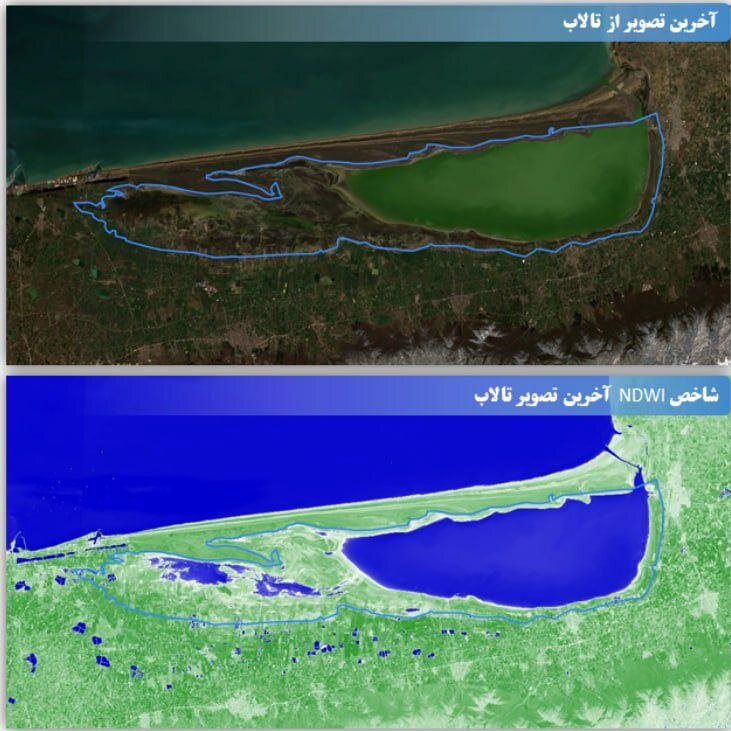 نصف میانکاله خشکید + عکس | سوگ سیاوش برای پرندههای مهاجر میانکاله