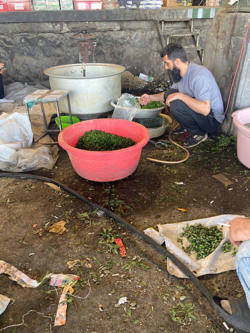 قیمتِ نوبرانهها، نوبر است!