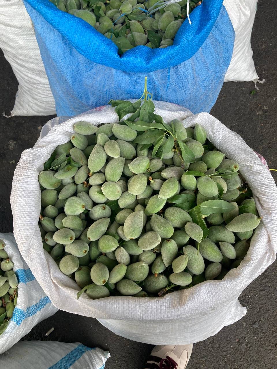 قیمتِ نوبرانهها، نوبر است!