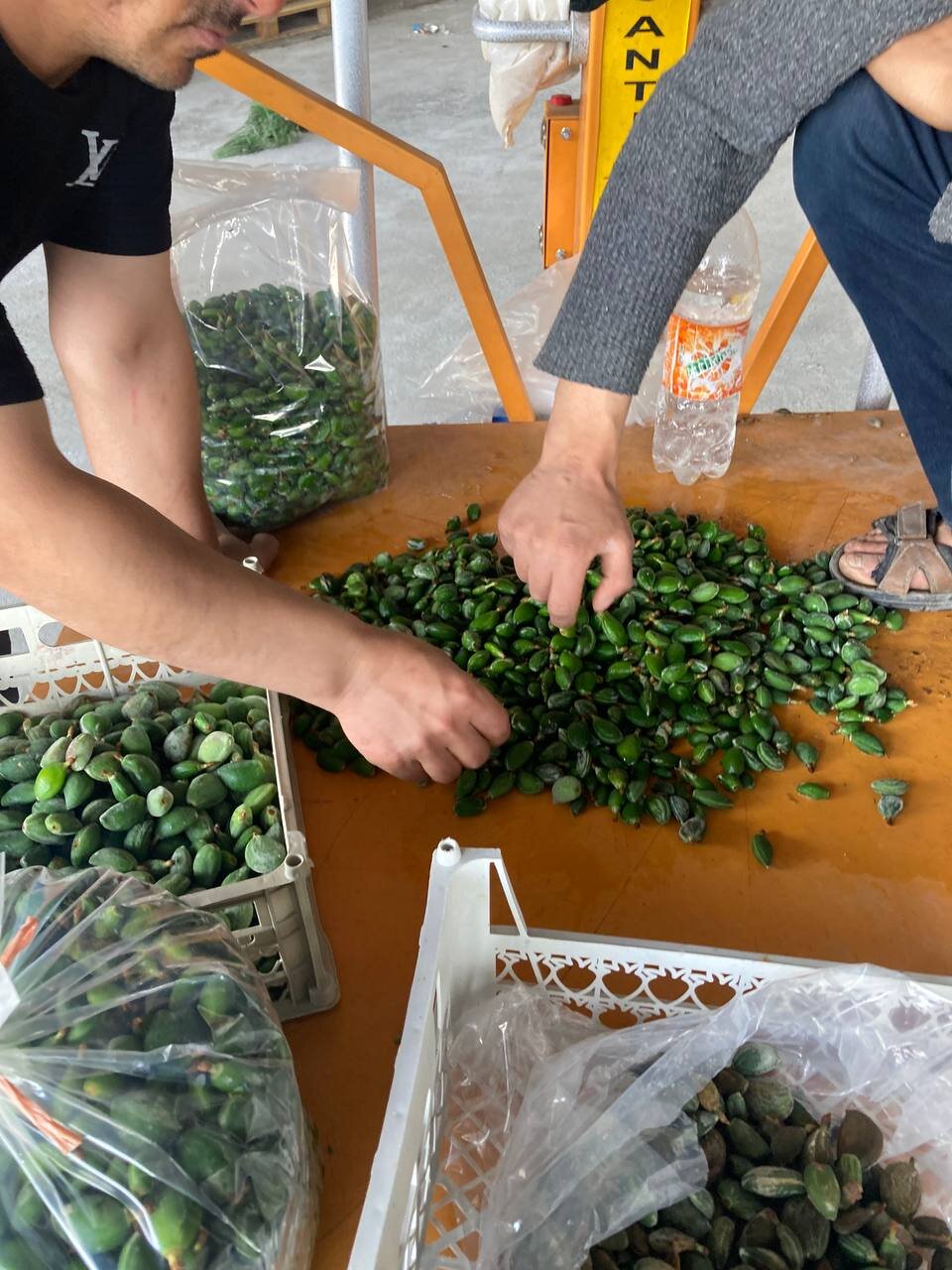 قیمتِ نوبرانهها، نوبر است!