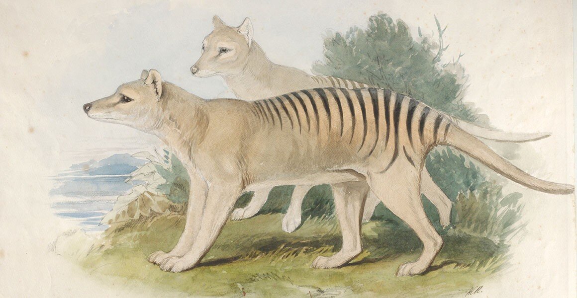 کدام جانوارن منقرض شده دوباره جان میگیرند و روی زمین راه میروند؟