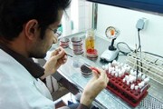 دسترسی به برخی آزمایش ها محدود شده است |  ۳ تا ۴ هزار دستگاه آزمایشگاهی بیکار مانده‌ اند