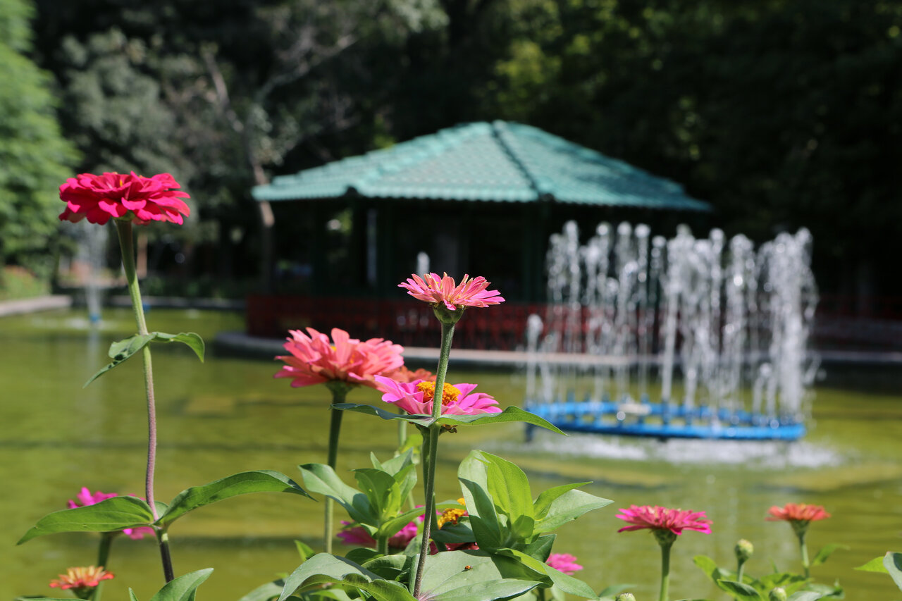 گردش در فصل بهار