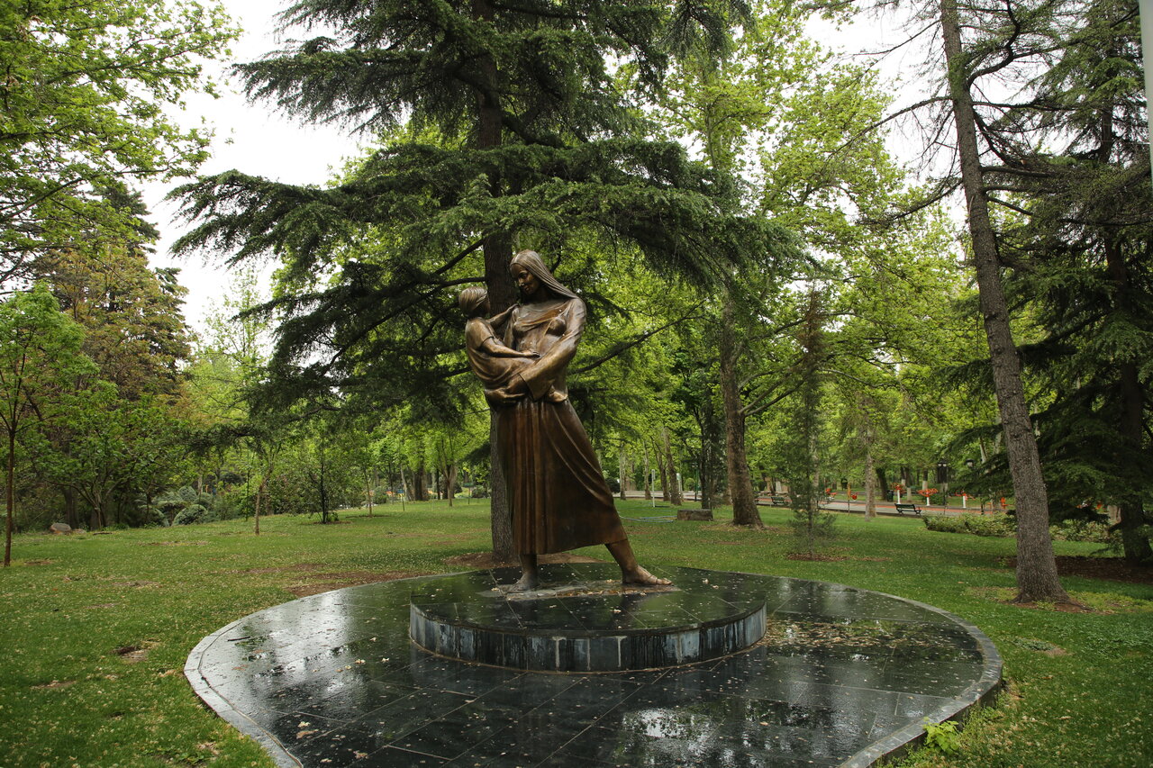 گردش میان درختان در بهار طبیعت