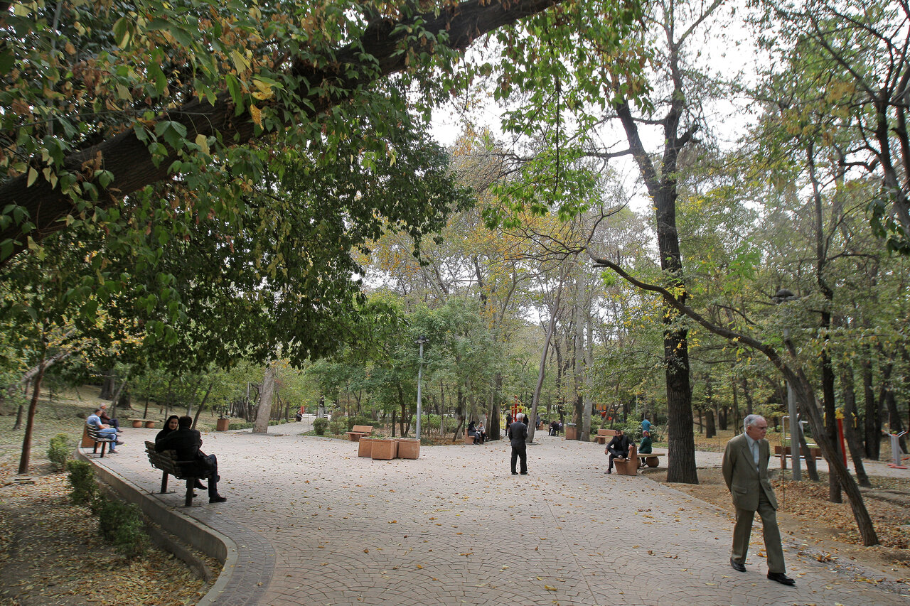 گردش میان درختان در بهار طبیعت