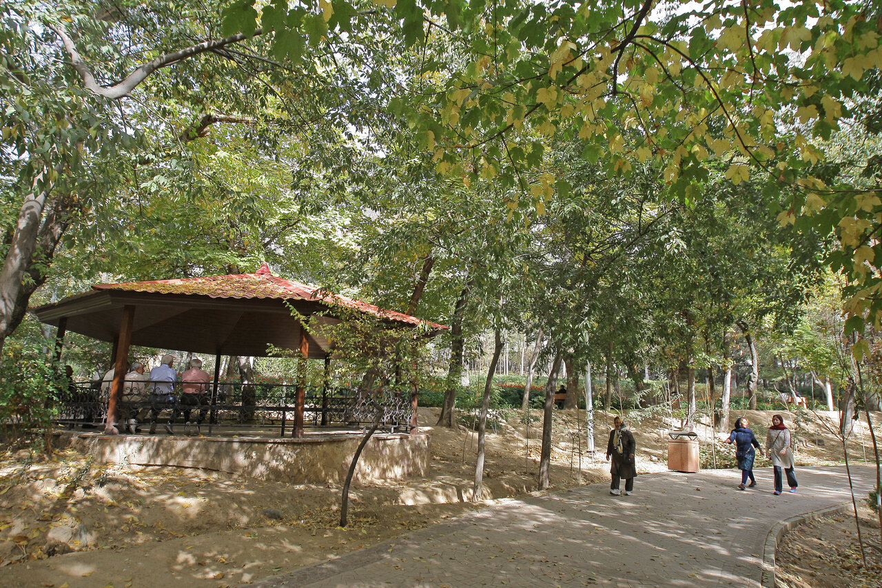 گردش میان درختان در بهار طبیعت