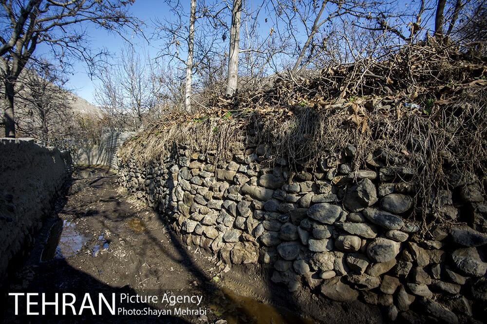 دست در دست بهار در کوچه و خیابان‌های تهران