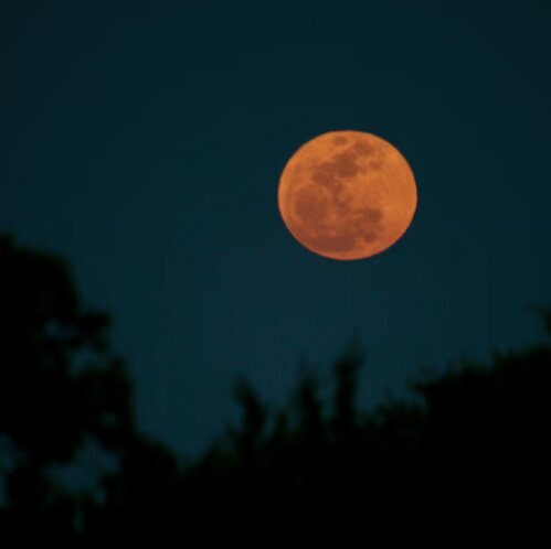 ماه کامل بر فراز منطقه سیستردیل ایالت تگزاس
