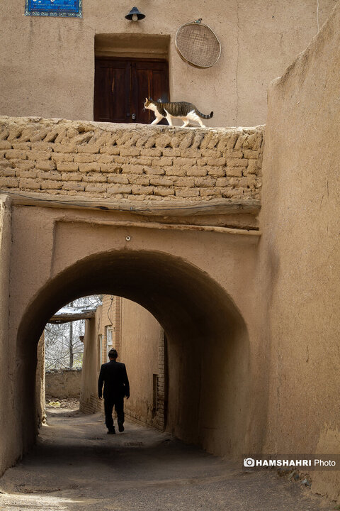 روایت تصویری از زیبایی های نهفته شهر نطنز