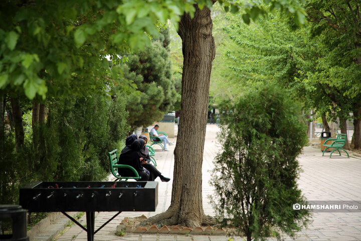 فصل بهار در کوچه پس کوچه های تهران