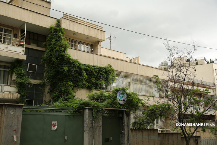 فصل بهار در کوچه پس کوچه های تهران