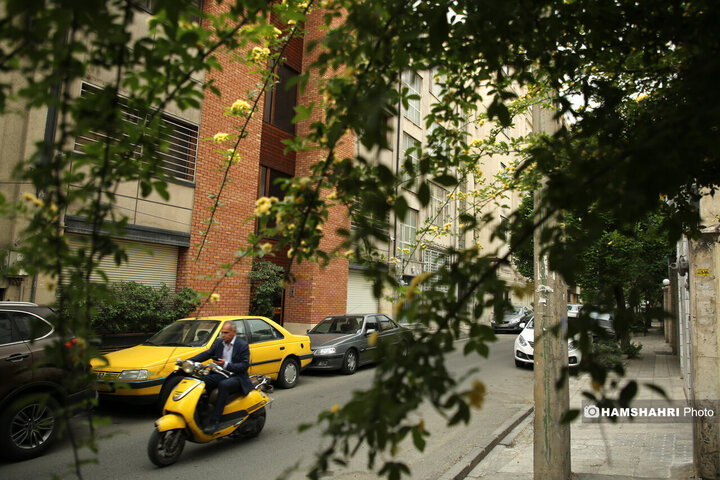 فصل بهار در کوچه پس کوچه های تهران