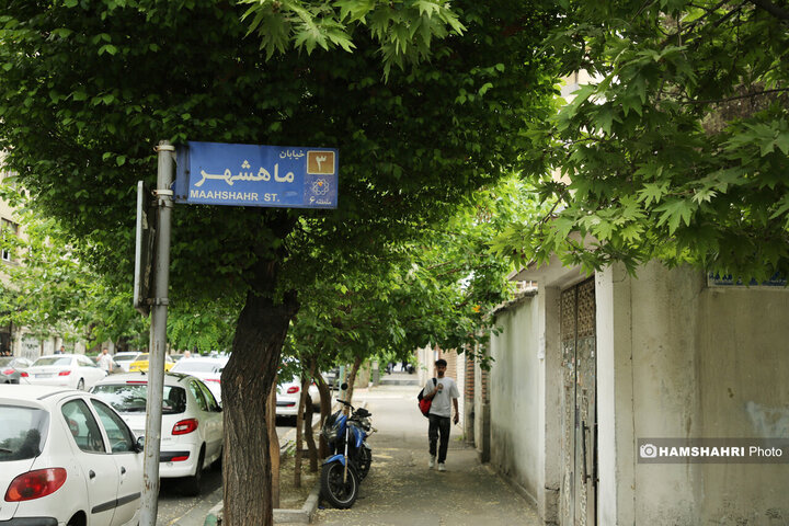 فصل بهار در کوچه پس کوچه های تهران