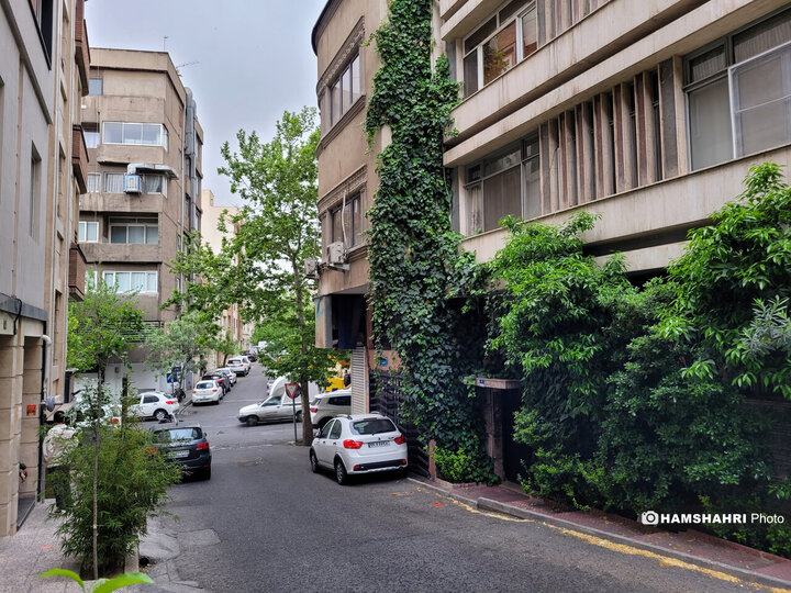 فصل بهار در کوچه پس کوچه های تهران